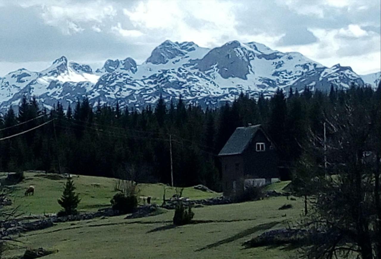 Village House Popovic Zabljak  Exterior photo